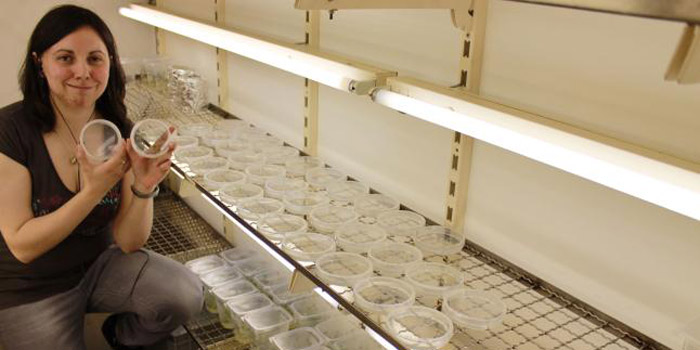 La zamorana con su cultivo in vitro de patata, tras someterla a un proceso de crioconservación en nitrógeno líquido.